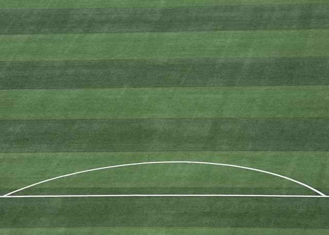 少见！京媒质疑北京国安：提前10天留力踢足协杯决赛，真有必要吗