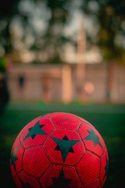 引领的策略 引领的策略