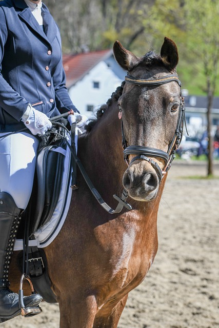 和串联能力 和串联能力
