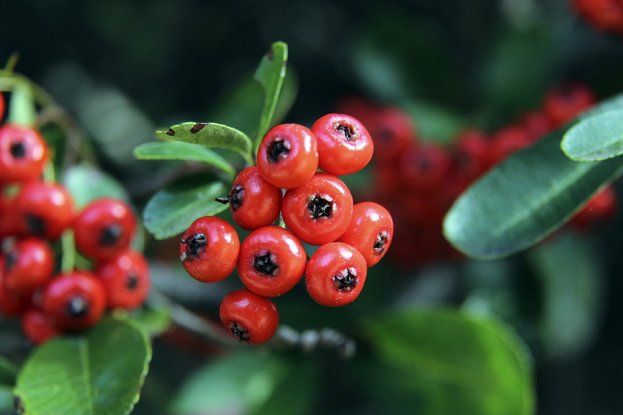 无论张常宁 无论张常宁