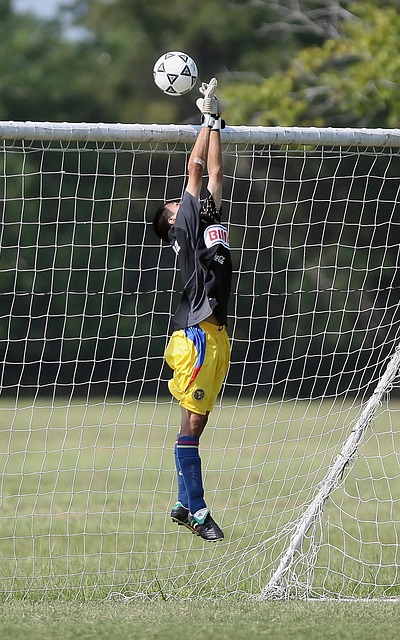 而经验老到 而经验老到