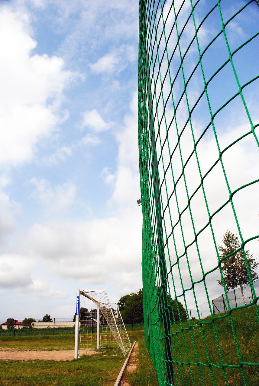 他在篮下的 他在篮下的