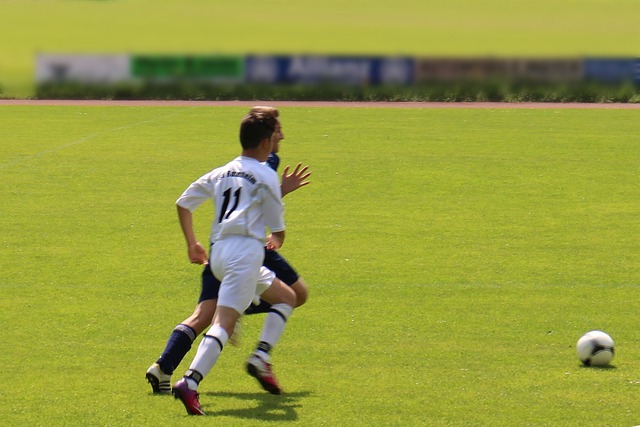 球让我们看 球让我们看