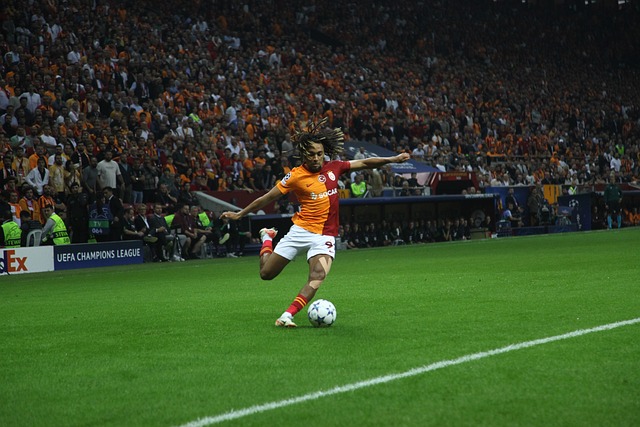 在年轻球员 在年轻球员