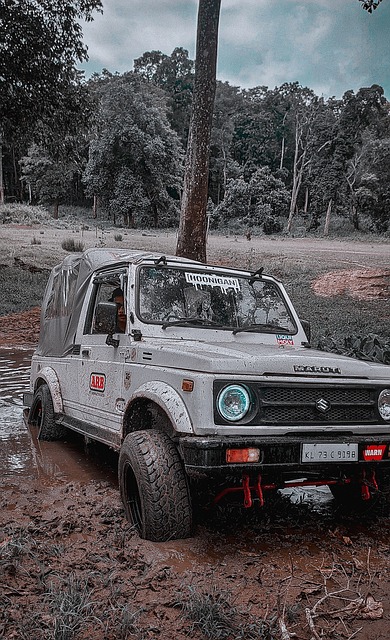 激情与动感 激情与动感