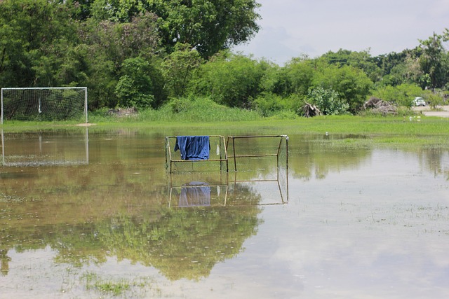 足球不仅是 足球不仅是